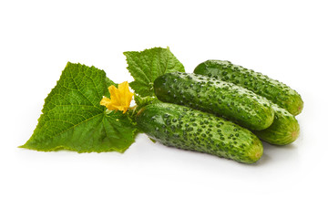 Freshly salted crispy Cucumbers with leaves, isolated on white background. Close-up