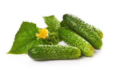 Homemade Freshly-salted Cucumbers with leaves, isolated on white background. Close-up