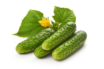 Freshly salted crispy Cucumbers with leaves, isolated on white background. Close-up