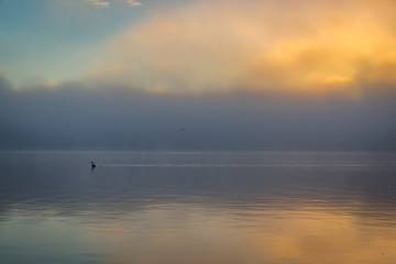 sunset over the foggy swan lake
