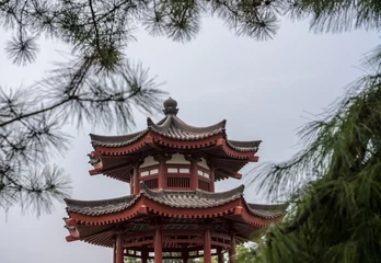 Wandcirkels  Traditional chinese roofs at the Giant Wild Goose Pagoda  © steheap