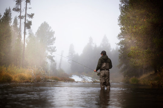 Rear view of hiker fishing in lake at forest during foggy weather