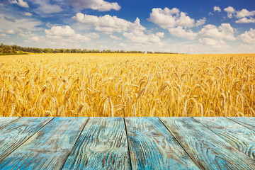 Rural background, template - horizontal surface of the boards on the background of wheat field with...