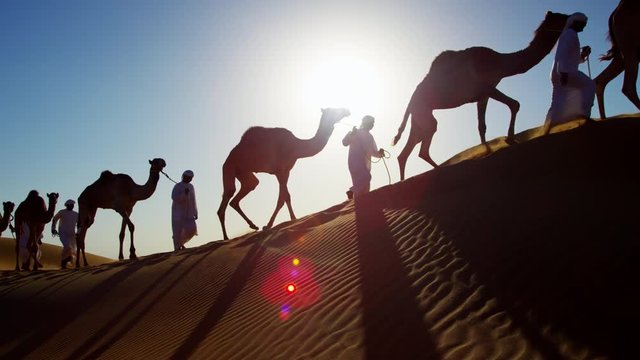Camel caravan train travelling across a Middle Eastern desert