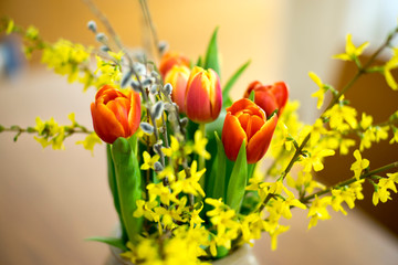 tulpen, Forsythien, blumenstrauss