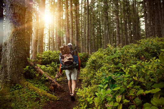 Rear view of hiker walking on pathway amidst trees at forest