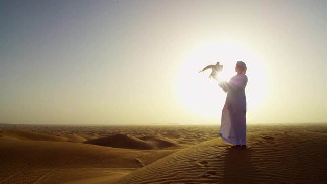Sunset silhouette Arabic man with bird of prey on desert sands 