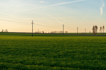 Landschaft mit Strommasten zur Abenddämmerung