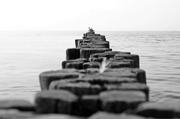 Fototapeta premium beach wooden fence 