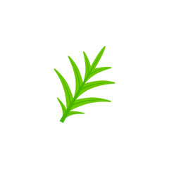 pinnatisect leaf flat icon