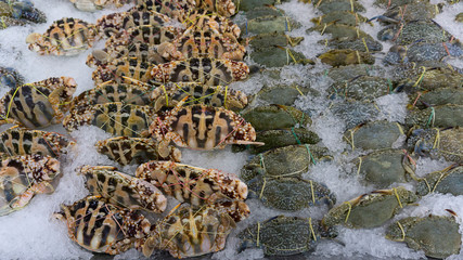 Fresh Sea crab raw on ice sold in supermarkets. Seafood in the shop window. Buy for cooking. food concept. Top view, copy space.