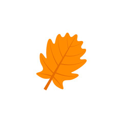 pinnatifid oak leaf flat icon