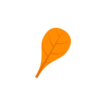 spathulate leaf flat icon