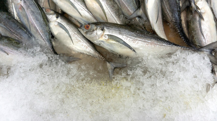 Raw seafood on ice at the fish market and department store. Raw fresh meat is sold. Healthy eating. displayed on ice, with copy space for your text..
