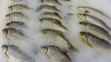 Fresh fish raw on ice sold in supermarkets. Seafood in the shop window. Buy for cooking. food concept. Top view, copy space.