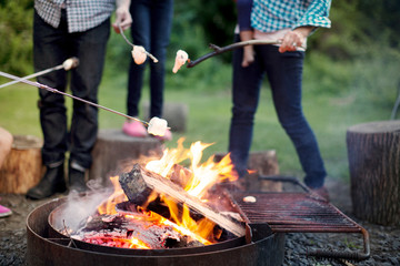 Fototapeta premium Low section of family roasting marshmallows while standing in forest