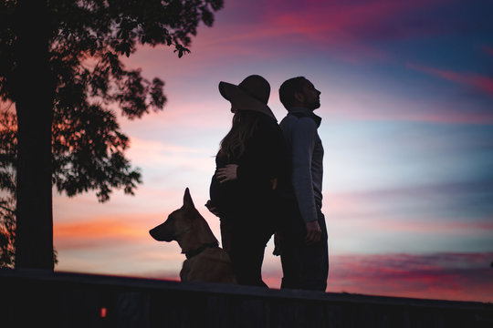 silhouettes of a couple with dog standing back on back at sunset