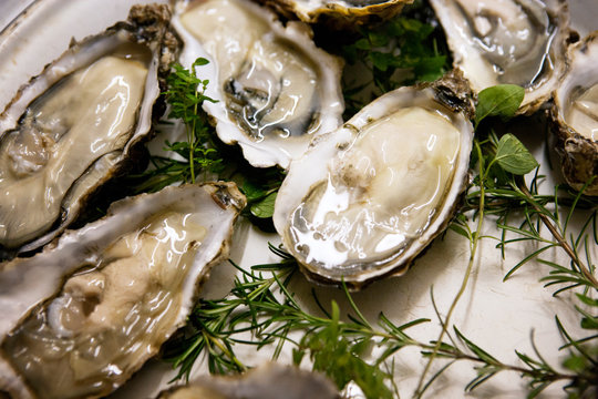 Close-up of oysters served in plate