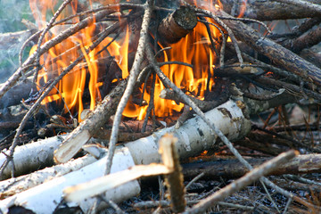 Burning firewood in the bonfire. Flames burning in the grill with smoke. Arson or natural disaster. Texture of fire and flame