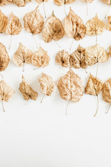 Dry fall autumn leaves collage on white background. Flat lay, top view.