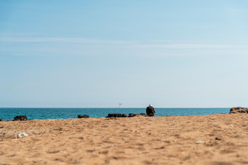 Seacoast of Creta Rossa beach and its bay in Ostuni Salento Italy