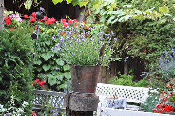 Doniczka z kwiatami na stole w zadbanym ogrodzie, slovakia, liptovský mikuláš, liptovská mara