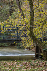 Autumn bridge in the park