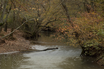 Autumn stream in the park