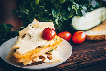 Tasty food background. Toast with cheese.