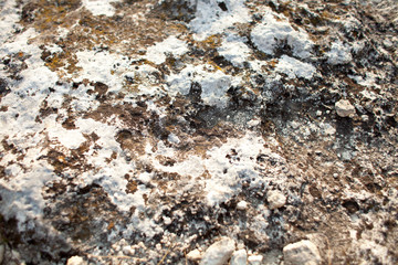 Natural stone background. gray brown stone background