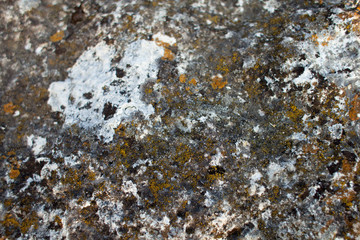 Natural stone background. gray brown stone background