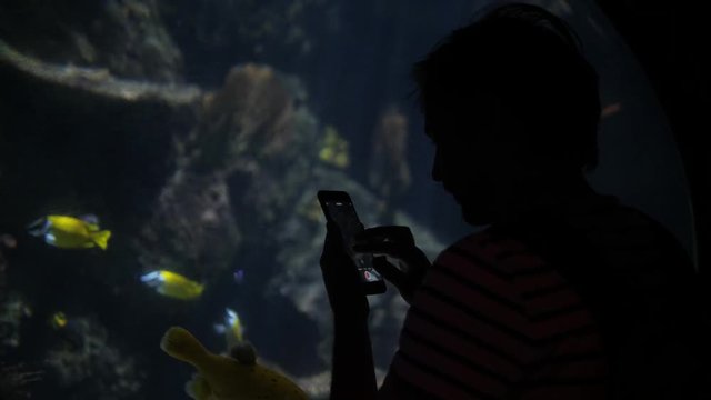 Asian tourist man taking a photo of turtle in an aquarium tank voice recognition ai speech audio message note