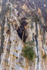 Rock in the jungle of Thailand