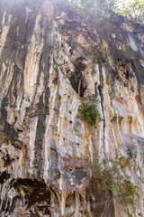 Rock in the jungle of Thailand