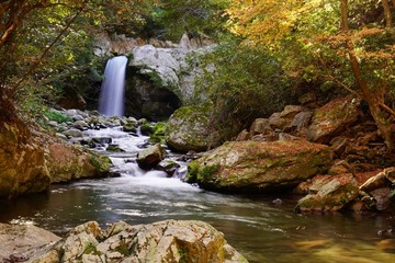 Obraz premium 秋の岳間渓谷の風景