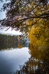 Herbst am See © Ben.Photoholic
