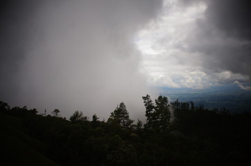 Neblina na Serra