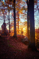 Alone man in autumn landscape, Ukraine