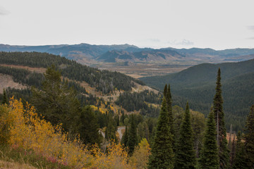 Jackson Hole Autumn