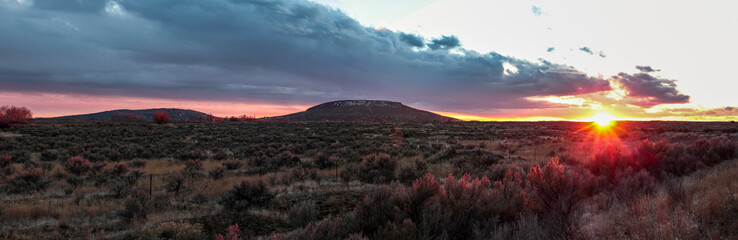 Sage brush mountain sunset