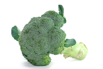 Broccoli isolated on white background