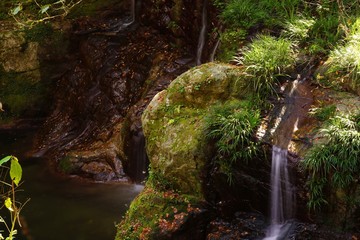 秋の岳間渓谷の風景