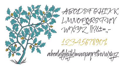 Vector alphabet. Hand drawn letters. Letters of the alphabet written with a brush.