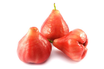 fresh rose apples isolated / pink or red rose apples fruit isolated on white background - rose apples tropical fruit in thai