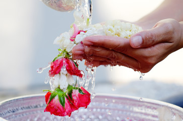 Hand of young woman pour water and flowers on the hands. older women and happy for the songkran...