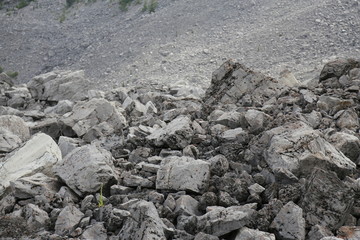Frank Slide Again