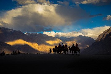 Riding a camel in the desert at Leh, Ladakh, Jammu and Kashmir, India