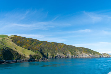 Fototapeta premium Linia brzegowa Wyspy Południowej od przeprawy promowej