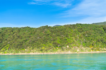 Fototapeta na wymiar South Island coastline from ferry crossing