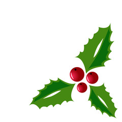 christmas holly and red berries